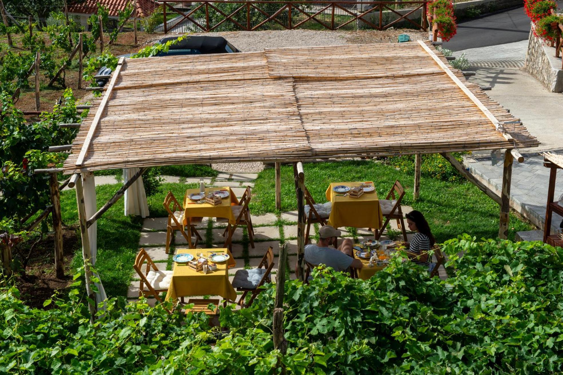 阿杰罗拉Il Vigneto Di Nonno Pietro住宿加早餐旅馆 外观 照片